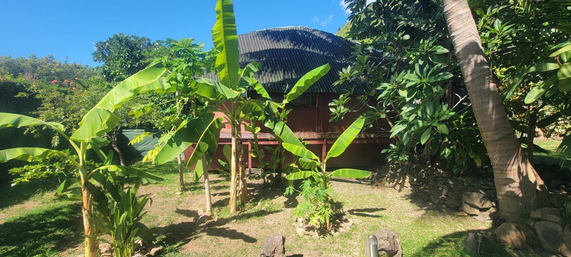 Location " La Pirogue " Maison D'Hotes A Moorea Haapiti Dış mekan fotoğraf