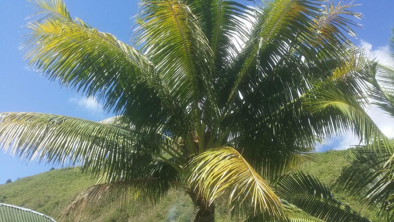 Location " La Pirogue " Maison D'Hotes A Moorea Haapiti Dış mekan fotoğraf